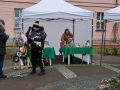foto07