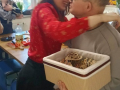 foto012