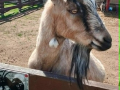 foto07