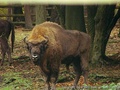 foto03