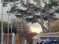 foto04
