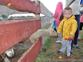 foto04