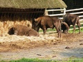 foto02
