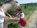 foto01