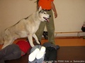 foto03