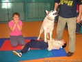 foto06