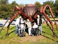 foto06