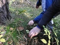 foto03