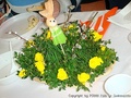 foto01