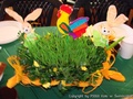 foto01