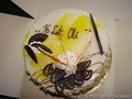 foto01