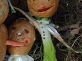 foto01
