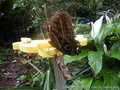 foto03