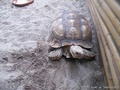 foto04