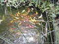 foto06