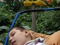 foto01