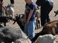 foto05