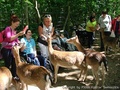 foto06