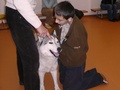 foto02