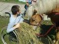 foto02