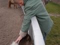 foto04