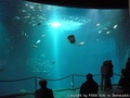 foto04