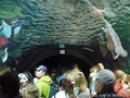 foto05
