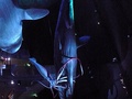 foto06