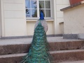 foto06