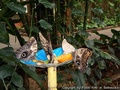 foto03