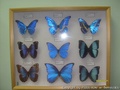 foto06