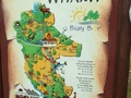 foto05
