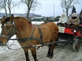 foto06