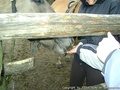 foto05