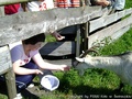 foto03