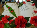 foto03