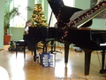 foto06