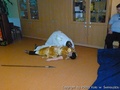 foto02