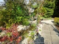 foto04