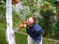 foto01