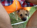 foto04