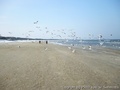 foto03