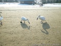 foto05