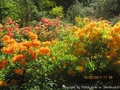 foto01