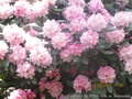 foto02