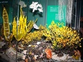 foto05