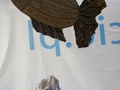 foto02