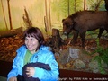 foto04