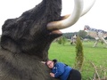 foto01