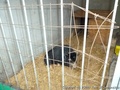 foto03